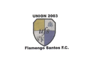 Union Flamengo Santos logo